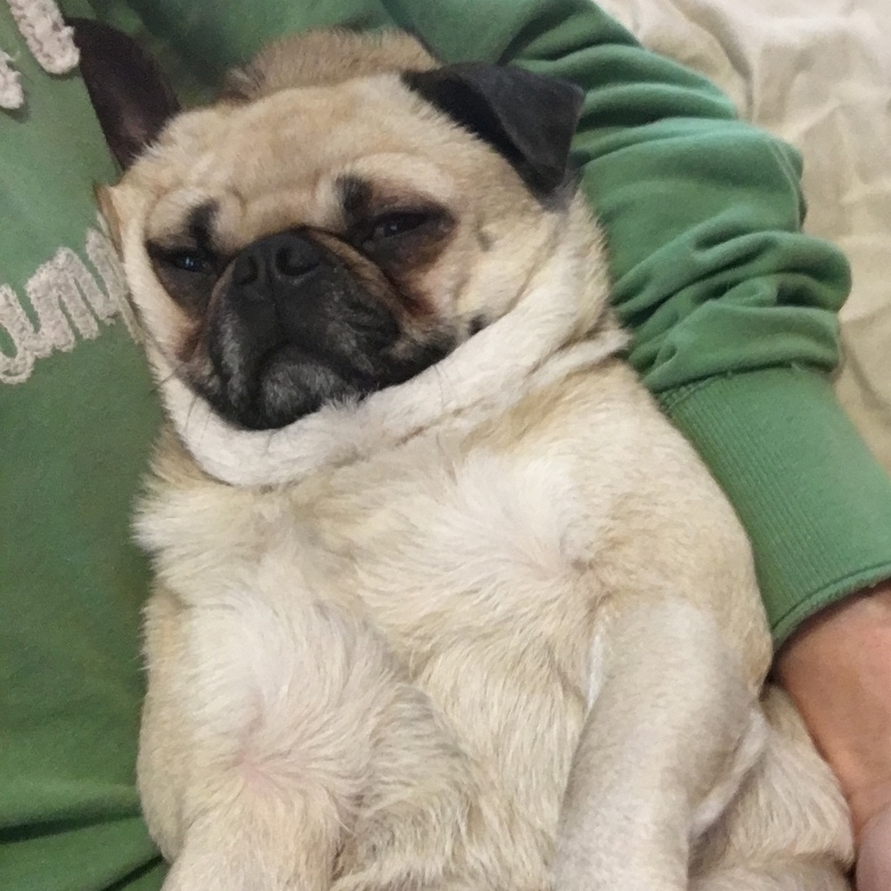 Meet your Posher, Rebecca